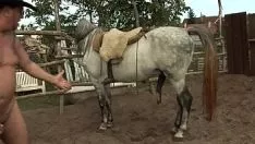 Oynat Atlarla porno Pussy Li Okulu Pula Fut Kadınlar Ne